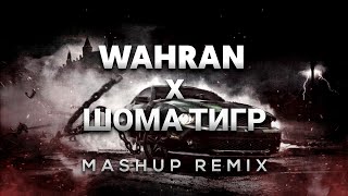 Randall Wahran x Asanrap Шома тигр  Wahran Russian Remix [upl. by Elreath]