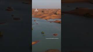 Ponds form in Moroccan desert after heavy rain  AJ shorts [upl. by Lucchesi]