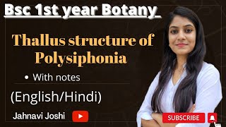 Polysiphonia Thallus Structure Notes Bsc 1st year Botany [upl. by Jammal]