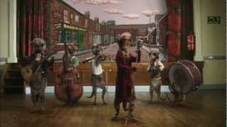 Meerkat Polka Band Play Coronation Street Theme Tune [upl. by Swartz257]