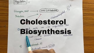 Cholesterol Biosynthesis [upl. by Nonnac]