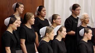 Festival Alleluia  Shenandoah Christian Music Camp [upl. by Sig880]