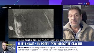 N Lelandais  un profil psychologique glaçant [upl. by Audre]