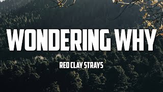 Red Clay Strays  Wondering Why Lyrics [upl. by Ludovico343]