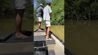 Bowfishing during the day SC fishing bowfishing southcarolina [upl. by Cowden]