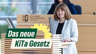 Das neue Kindertagespflege Gesetz in SH [upl. by Esidarap]