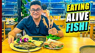 জ্যান্ত মাছ ধইরা খাইয়া ফালাইলাম 😁 Best Seafood in Da Nang  Nha Hang Bien Viet  Vietnam Food Tour [upl. by Sivraj]