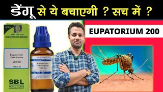 eupatorium perfoliatum 200c  dengue fever  Dr tarun [upl. by Anar]