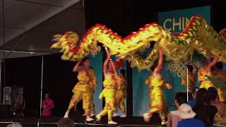 Chinese Dragon Dance [upl. by Novyad]