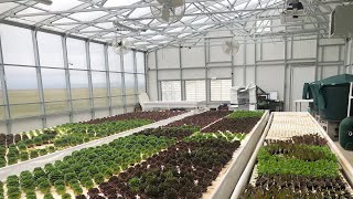 Commercial Greenhouse Planning Webinar [upl. by Aiclef]