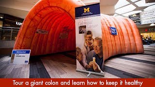 Tour a Giant Colon with a University of Michigan Health System Expert [upl. by Idieh51]