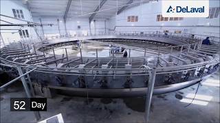 DeLaval PR3100HD installation and launching [upl. by Raff]