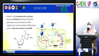 Simposium 3 part 1 Optimal Use of Agents For Hepatitis B Safety and Efficacy Of Entecavir [upl. by Gehlbach490]