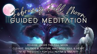 February 2024 Full Moon in Virgo Meditation  Cleanse amp Realign Mind Body Heart amp Soul [upl. by Nuahsed]