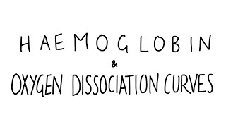 Haemoglobin amp Oxygen Dissociation Curves [upl. by Yanahc]