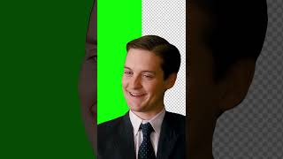 Howd that get in there tobeymaguire memes spiderman [upl. by Pedrick]