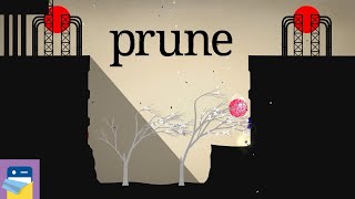 Prune Level 62 Walkthrough  White amp Blue FlowersStars by Joel McDonald [upl. by Seema478]