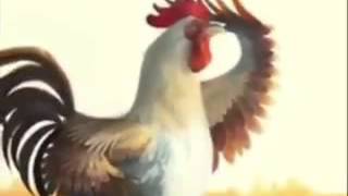 Quando un Gallo ti sveglia [upl. by Indnahc457]