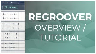 Regroover by Accusonus OverviewTutorial [upl. by Nnylecoj]