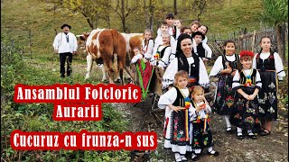 Ansamblul Folcloric Aurarii  Cucuruz cu frunzan sus  NOU 2023 [upl. by Edwards153]