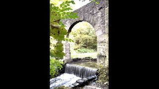 Worden Park Leyland  A Beautiful Park in Lancashire [upl. by Cull692]