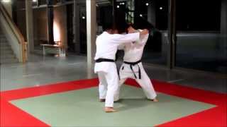 HeianPinan Yondan Drills [upl. by Ivo282]