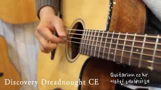 기타인 Breedlove Discovery Dreadnought CE Guitar [upl. by Anaiek]