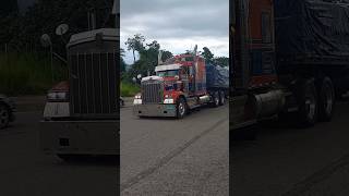 Kenworth W900B youtubeshorts youtube truck kenworth jamaica jamaicantruckers [upl. by Nnaecarg7]