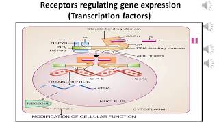 RECEPTORS REGULATING GENE EXPRESSION [upl. by Latrice]