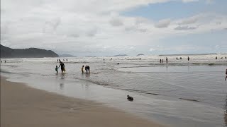 Olha o jeito que está Ubatuba SP nesse feriado [upl. by Gnaig]