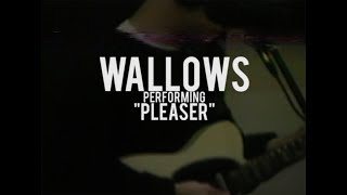 Wallows  quotPleaserquot  Live at North Dwarf Records [upl. by Massie]