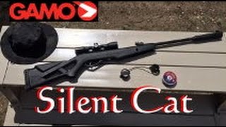 Gamo Silent Cat 177 cal Air Rifle with 4x32mm Scope [upl. by Ninnahc77]