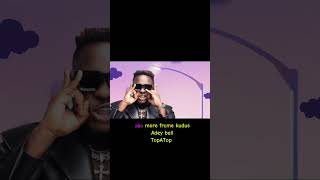 medikal  11 Tams Freestyle lyrics video lyrics amerado music rap short [upl. by Yentuoc]