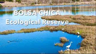 Bolsa Chica Wetlands  SoCal Nature Escape l Bolsa Chica Ecological Reserve CA [upl. by Loyce34]