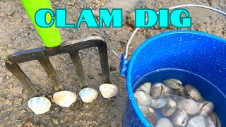 Digging Steamer CLAMS and OYSTERS in Puget Sound [upl. by Lillith]