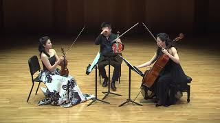 Dohnányi Serenade for String Trio in C Major Op10  Archi Music Society [upl. by Tingley367]