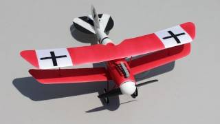 Flyzone Albatros Micro RC Airplane Review and Flight [upl. by Scutt545]