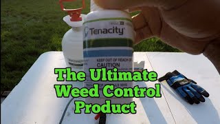 How to Use Tenacity herbicide How to kill weeds in lawn [upl. by Odnuges]