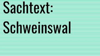 Thema Wale der Schweinswal Audio [upl. by Nacim]