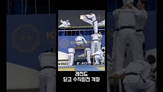 남승현 단장님 국기원 시범단장 태권도 시범단 수직회전 장애물격파 기내스북 뒤공중 레전드 격파 태권도시범단 국기원taekwondodemonstration [upl. by Anaidirib]