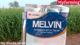 Melvin fungicide nichino  thiophanate methyl 70 wp  Melvin fungicide  nichino India pvt ltd [upl. by Ssur]