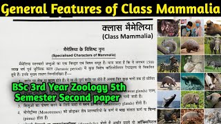 General Characteristics of Class Mammalia  BSc 3rd year Zoology 5th Semester 2nd Paper [upl. by Mullins]