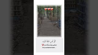 Insaallah Im ready for death amp you viralshort viralvideo foryou death islam love ytshort [upl. by Launce]