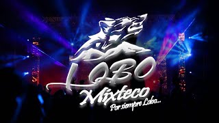 LOBO MIXTECO  LA CUMBIA DEL SUPERIOR LIVE 2020 [upl. by Tychonn]