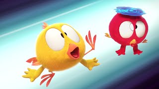 Best Buddies  Wheres Chicky  Cartoon Collection in English for Kids  New episodes HD [upl. by Libbna]