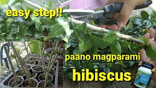 paano magtanim ng sanga ng gumamela o hibiscus 🌺🌺 sa madaling paraan [upl. by Pan920]