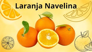 Laranja Navelina [upl. by Rabi]