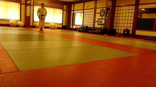 Shotokan Karate Grading Syllabus 7th Kyu to 6th Kyu [upl. by Esereht517]