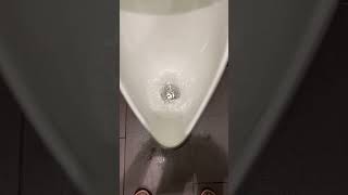 Testing a kohler Dexter washdown urinal ￼ [upl. by Rauch432]