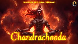 Chandrachooda Shiva Shankara Parvati Full Version  Mahashivratri 2024  Sundara Dhara Shiva Song [upl. by Lias]